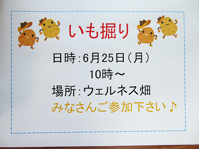 いもほり